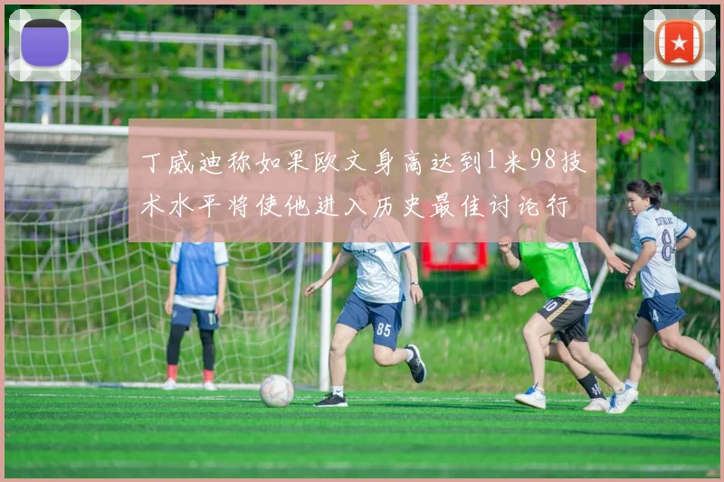 丁威迪称如果欧文身高达到1米98技术水平将使他进入历史最佳讨论行列